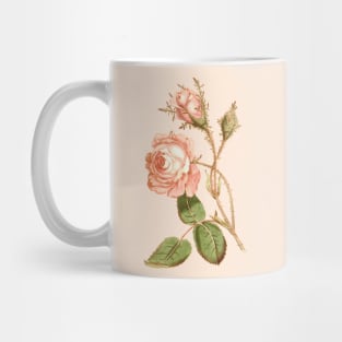 Pink rose flower Vintage Botanical Print Mug